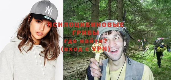 ECSTASY Дмитриев