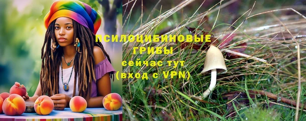 МДМА Дмитровск