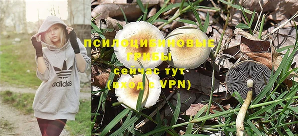 МДМА Дмитровск