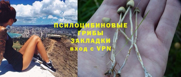 МДМА Дмитровск
