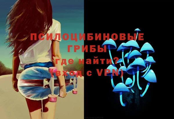 ECSTASY Дмитриев